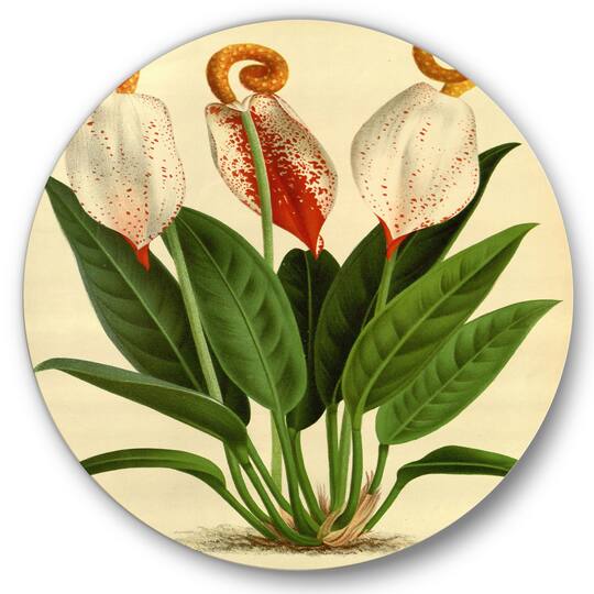 Designart - Retro Flowers I